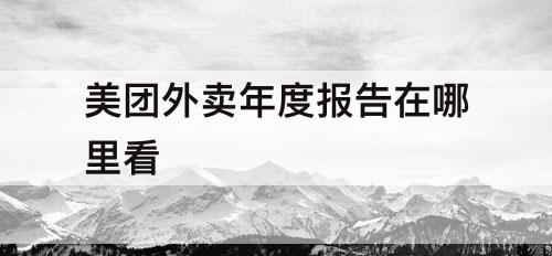 美团外卖年度报告在哪里看