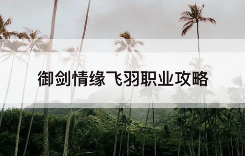 御剑情缘飞羽职业攻略