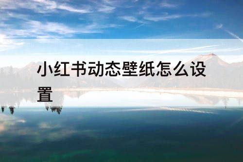 小红书动态壁纸怎么设置