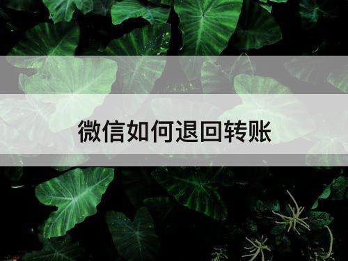 微信如何退回转账