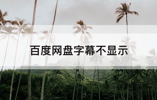 百度网盘字幕不显示
