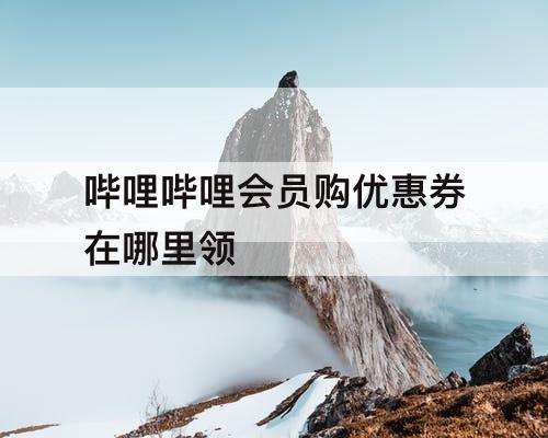 哔哩哔哩会员购优惠券在哪里领