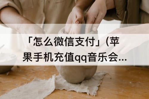 「怎么微信支付」(苹果手机充值qq音乐会员怎么微信支付)