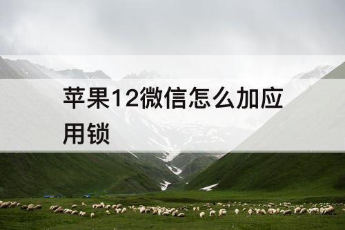 苹果12微信怎么加应用锁