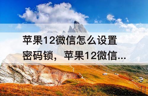 苹果12微信怎么设置密码锁,苹果12微信怎么设置密码锁屏的时候