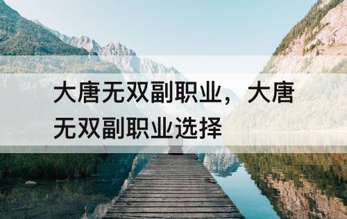 大唐无双副职业，大唐无双副职业选择