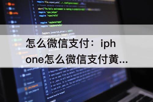怎么微信支付:iphone怎么微信支付黄钻