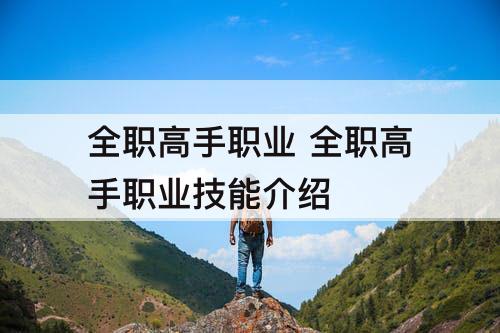 全职高手职业 全职高手职业技能介绍
