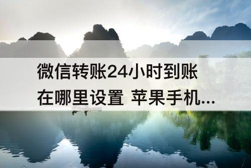 微信转账24小时到账在哪里设置 苹果手机微信转账24小时到账在哪里设置