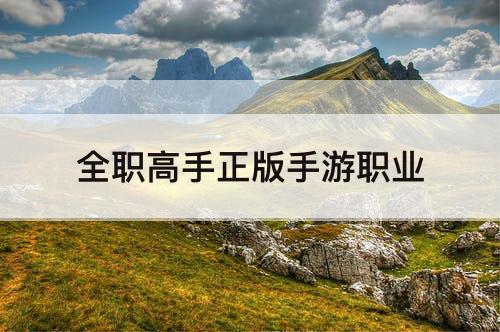 全职高手正版手游职业
