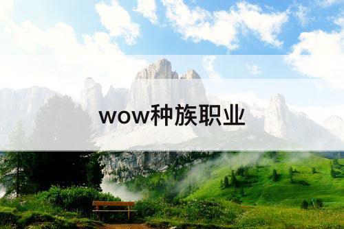 wow种族职业