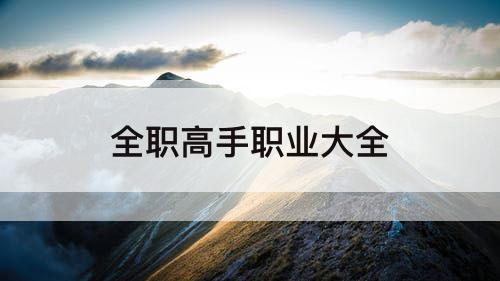 全职高手职业大全