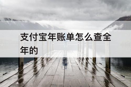 支付宝年账单怎么查全年的