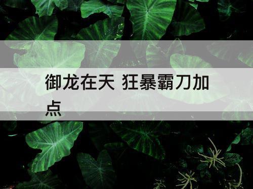 御龙在天 狂暴霸刀加点