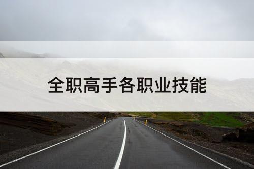 全职高手各职业技能