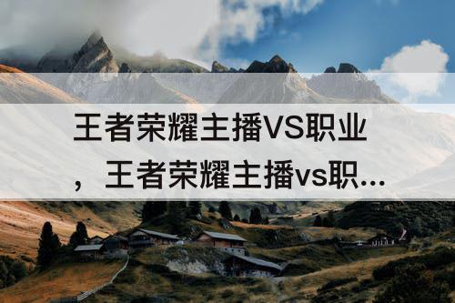 王者荣耀主播VS职业，王者荣耀主播vs职业战队
