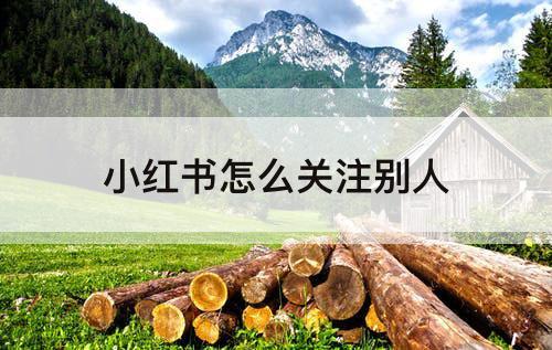 小红书怎么关注别人