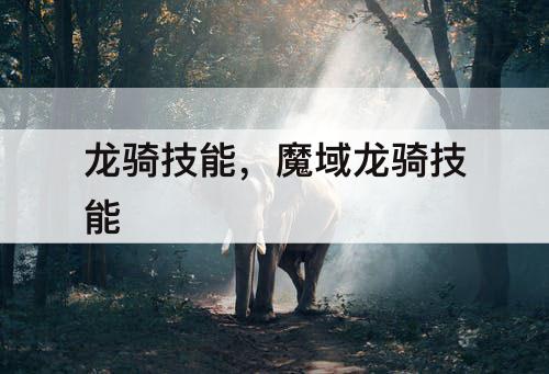 龙骑技能,魔域龙骑技能