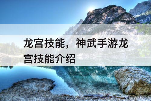 龙宫技能,神武手游龙宫技能介绍