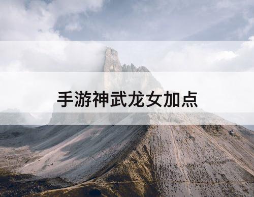 手游神武龙女加点