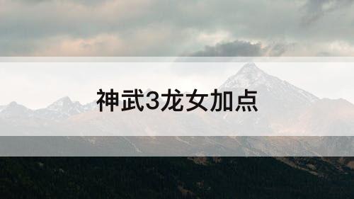 神武3龙女加点