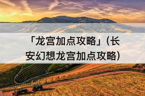 「龙宫加点攻略」(长安幻想龙宫加点攻略)