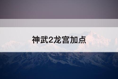 神武2龙宫加点