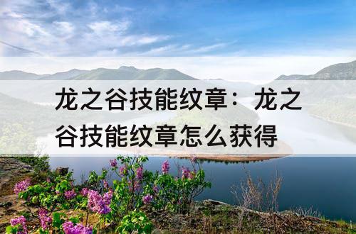 龙之谷技能纹章：龙之谷技能纹章怎么获得