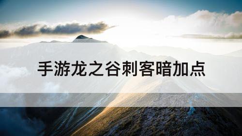 手游龙之谷刺客暗加点