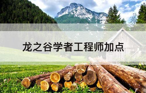 龙之谷学者工程师加点