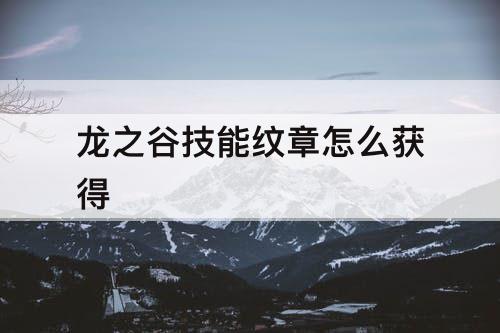 龙之谷技能纹章怎么获得