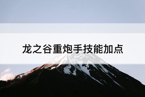 龙之谷重炮手技能加点