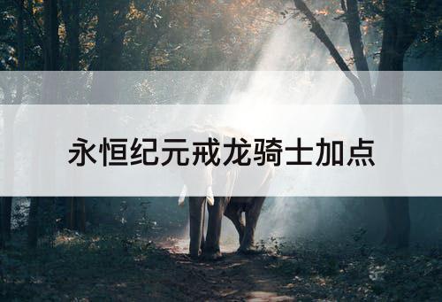 永恒纪元戒龙骑士加点