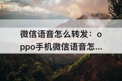 微信语音怎么转发：oppo手机微信语音怎么转发给别人