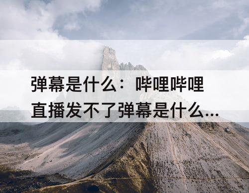 弹幕是什么：哔哩哔哩直播发不了弹幕是什么原因