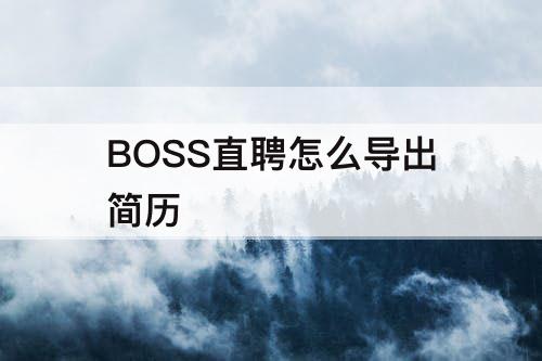 BOSS直聘怎么导出简历