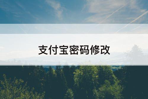 支付宝密码修改