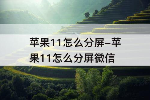 苹果11怎么分屏-苹果11怎么分屏微信