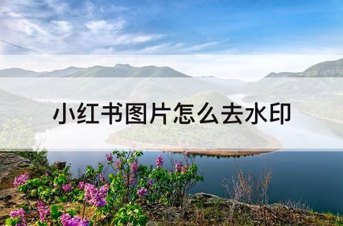 小红书图片怎么去水印