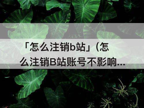 「怎么注销b站」(怎么注销B站账号不影响哔哩哔哩漫画)