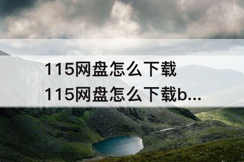 115网盘怎么下载 115网盘怎么下载bt