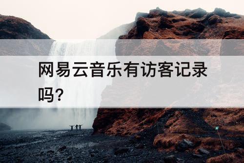 网易云音乐有访客记录吗?