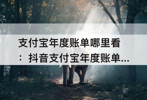 支付宝年度账单哪里看：抖音支付宝年度账单哪里看