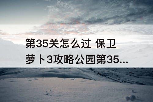 第35关怎么过 保卫萝卜3攻略公园第35关怎么过