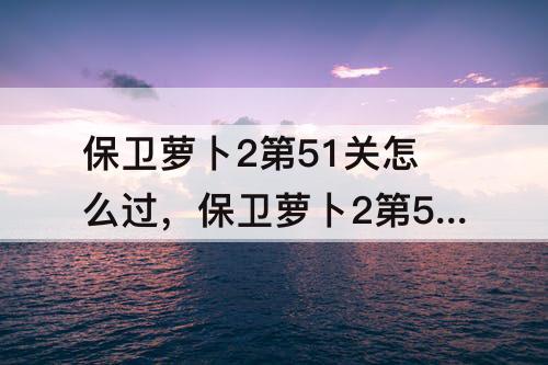 保卫萝卜2第51关怎么过，保卫萝卜2第51关怎么过?