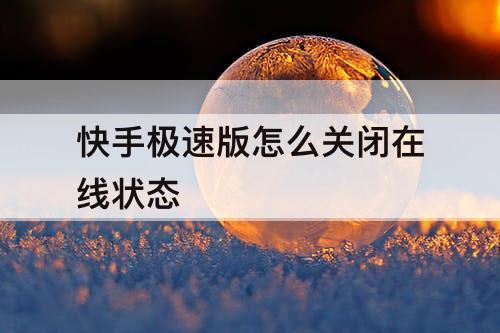 快手极速版怎么关闭在线状态