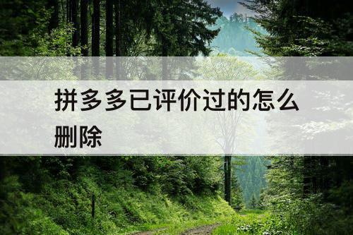 拼多多已评价过的怎么删除