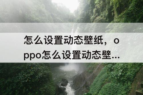 怎么设置动态壁纸，oppo怎么设置动态壁纸有声音的那种