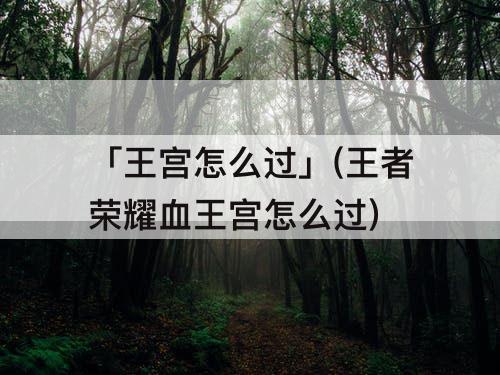 「王宫怎么过」(王者荣耀血王宫怎么过)