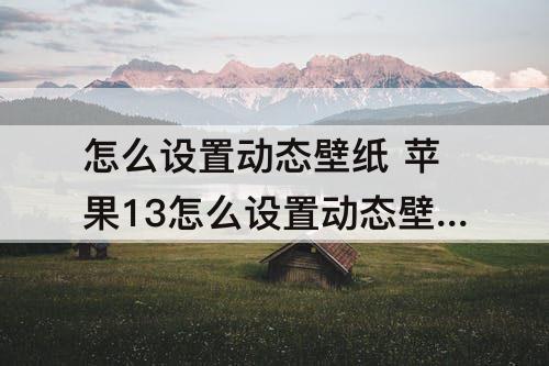 怎么设置动态壁纸 苹果13怎么设置动态壁纸自定义